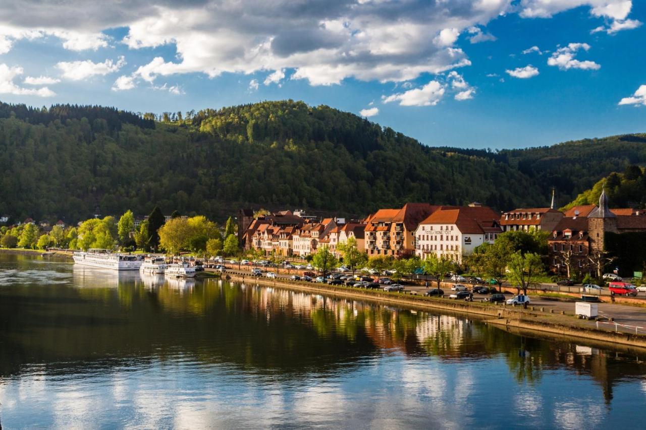 Hideaway Im Odenwald Nahe Heidelberg Apartamento Eberbach  Exterior foto